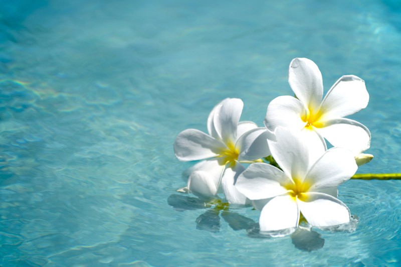 reves_de_vagues_lomi_lomi_o_bien_etre_massage_porspoder4